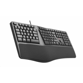 C-TECH Klávesnice KB-113E USB, ERGO,  černá, CZ/SK