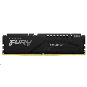 KINGSTON DIMM DDR5 16GB 5600MT/s CL36 FURY Beast Černá EXPO